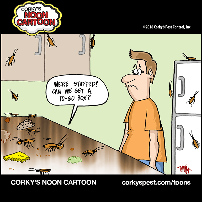 Cockroach Cartoons - Cockroach Facts