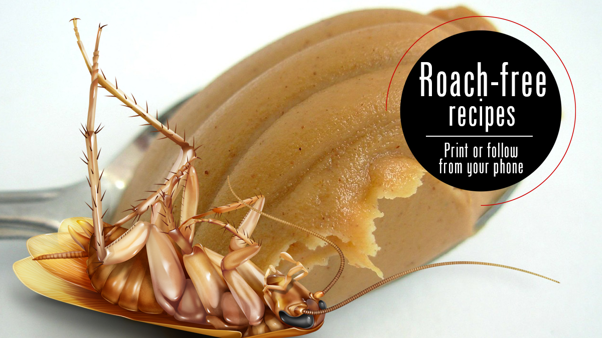 Boric Acid And Peanut Er Bait For Roaches Roach Facts
