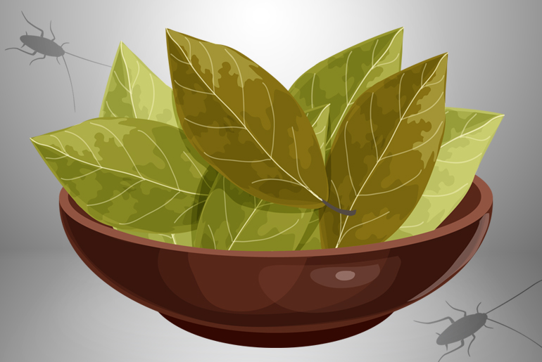 Cartoon illustration of a bowl full of bay leaves, small silhouette cockroaches on either side.
