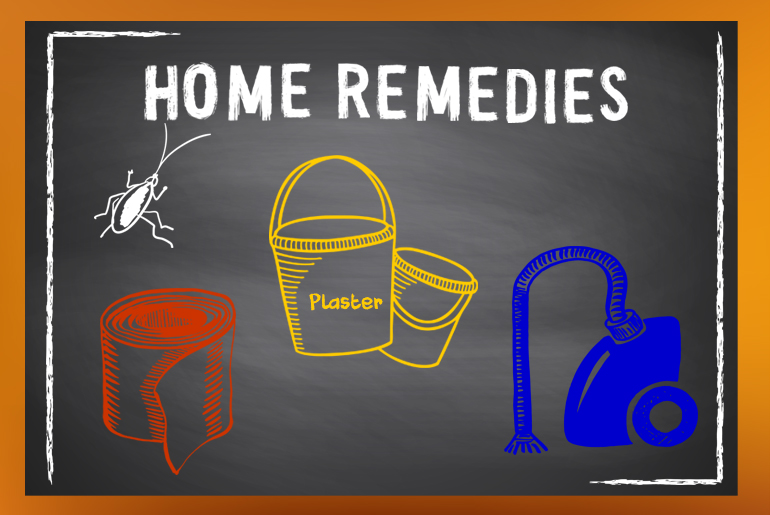 Blackboard illustration of a few cockroach control home remedies