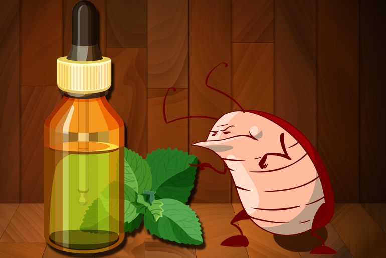 Cartoon illustration of a testy cockroach encountering a bottle of essential oil