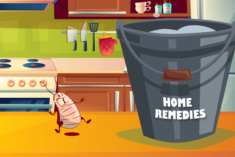 Cartoon illustration of a cockroach on a kitchen table beside a bucket labeled "Home Remedies"