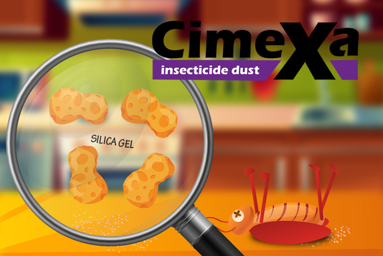 Illustration of CimeXa's mode of action - tiny sponges that soak up roaches' waxy protective layer